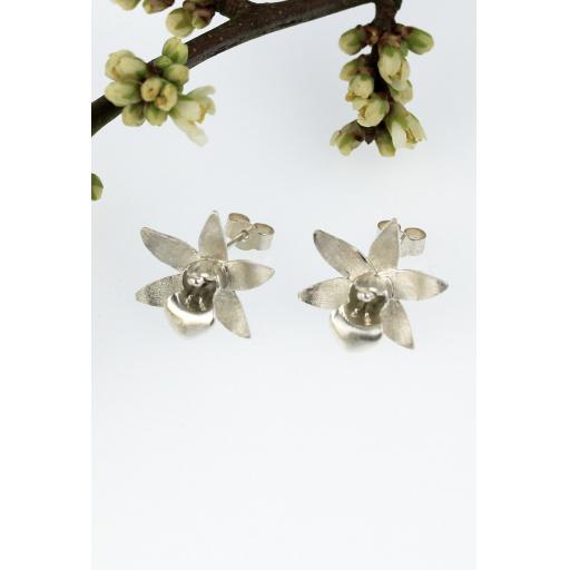 orchidstuds.web.jpg