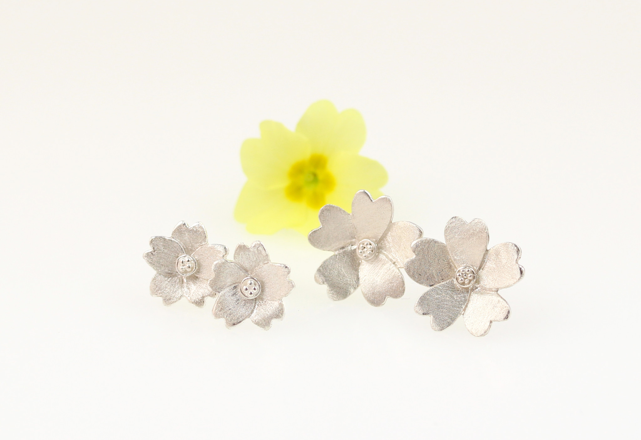 Primrose studs and flower.jpg